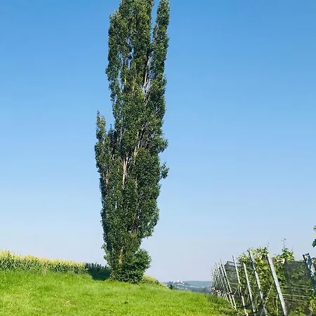 度假居 Landvilla Sinelia Premium *