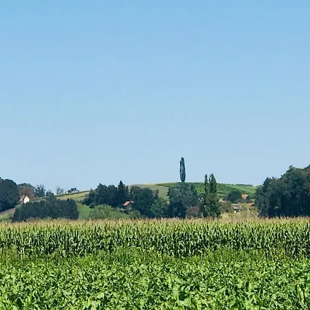 Landvilla Sinelia Premium Villa Dietersdorf am Gnasbach