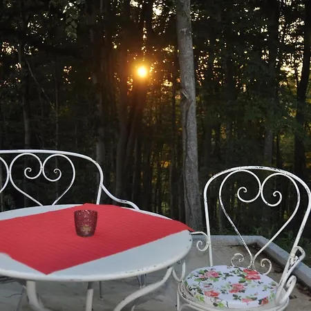 度假居 Landvilla Sinelia Premium *